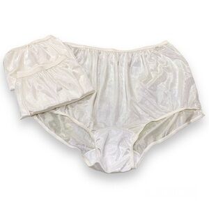 Vintage Carole Nylon Granny Panties Classic Semi Sheer Sz 11